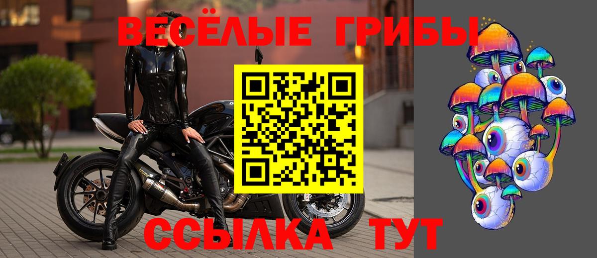Галлюциногенные грибы ЛСД  купить наркоту  Великий Новгород  Вход с VPN 
